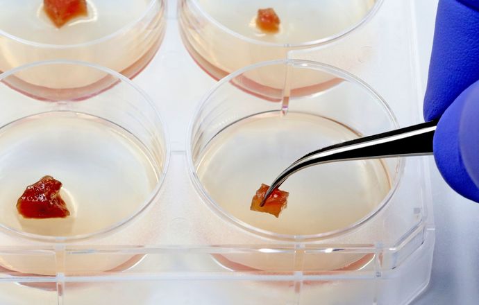 EFSA zaprasza na bezpłatne sympozjum naukowe dotyczące żywności i jej składników pochodzący